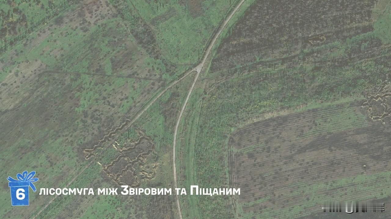 乌克兰波尔塔瓦州南部的兹维罗夫卡村与皮尚卡村之间的森林带，激烈战斗与日常炮击留下