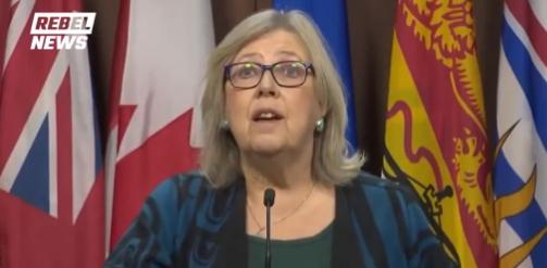【突发：🇨🇦加拿大议会即将上任的领袖伊丽莎白·梅回击特朗普，她表示他们不想成