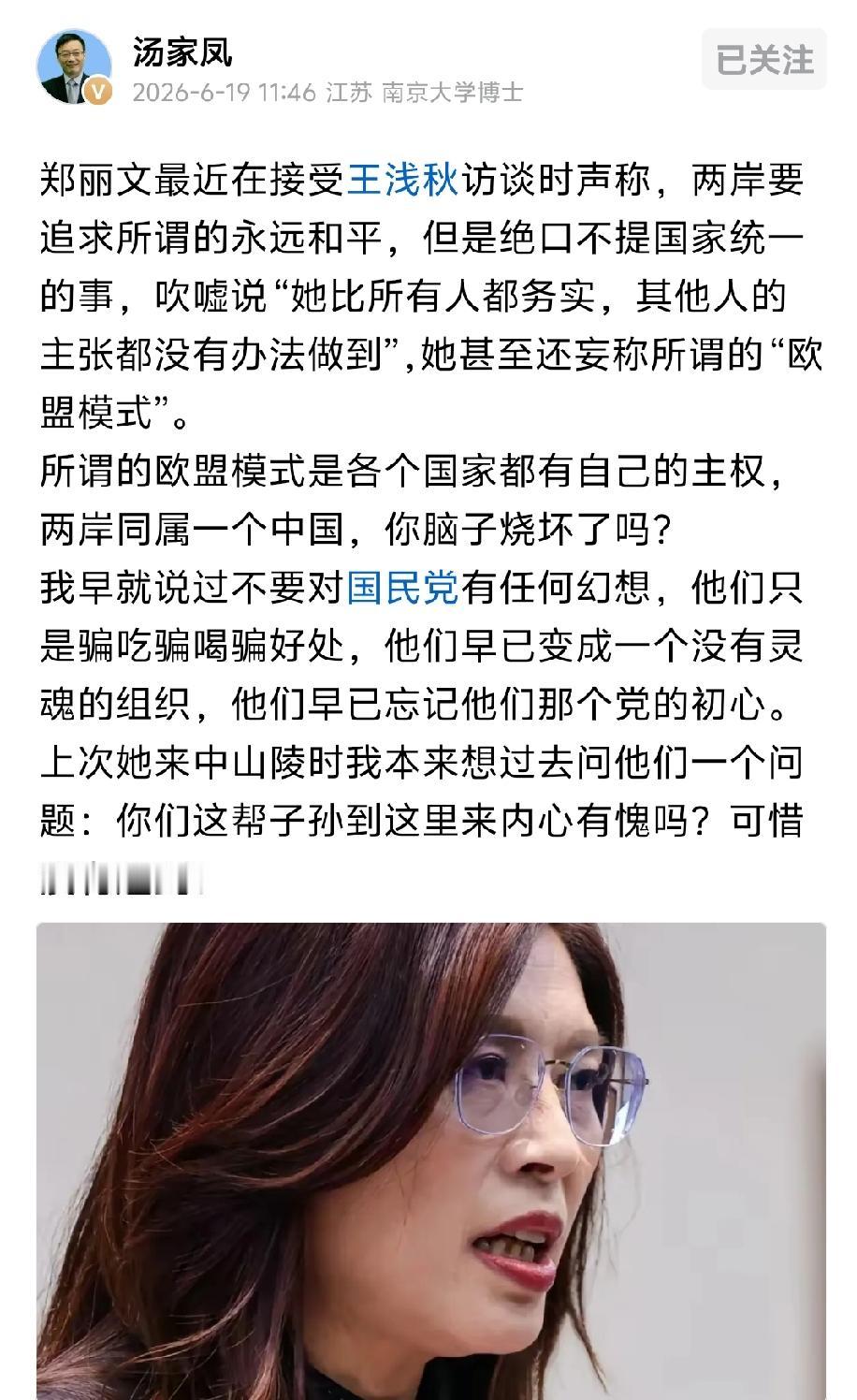 郑丽文就是女版马英九