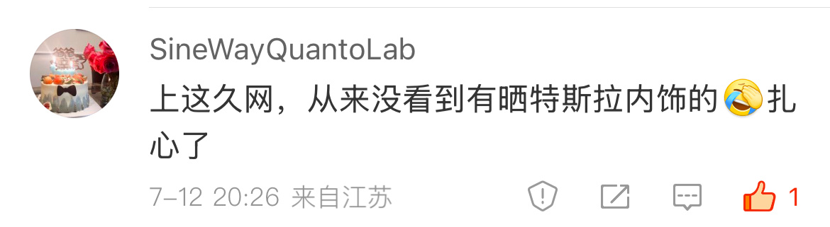上这久网，从来没看到有晒特斯拉内饰的[允悲]扎心了特斯拉 ​​​