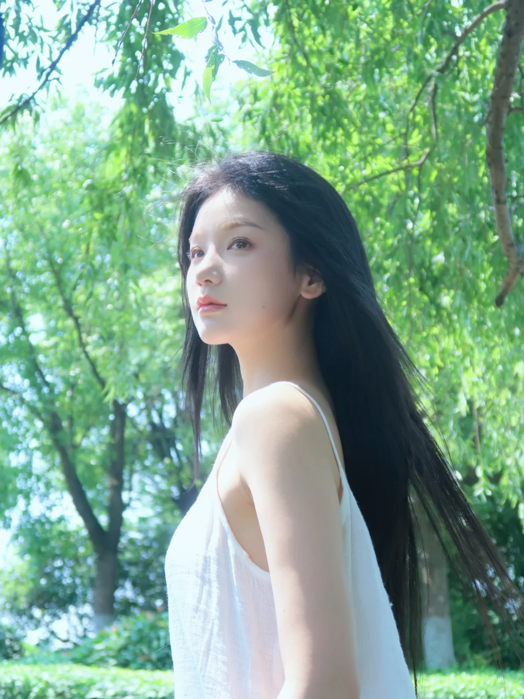 夏天的早上