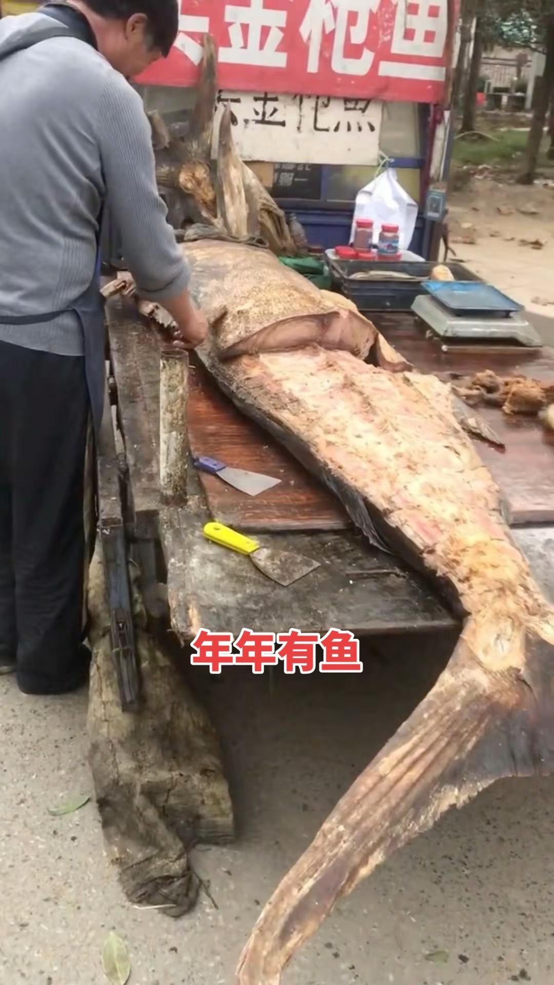 年年有鱼