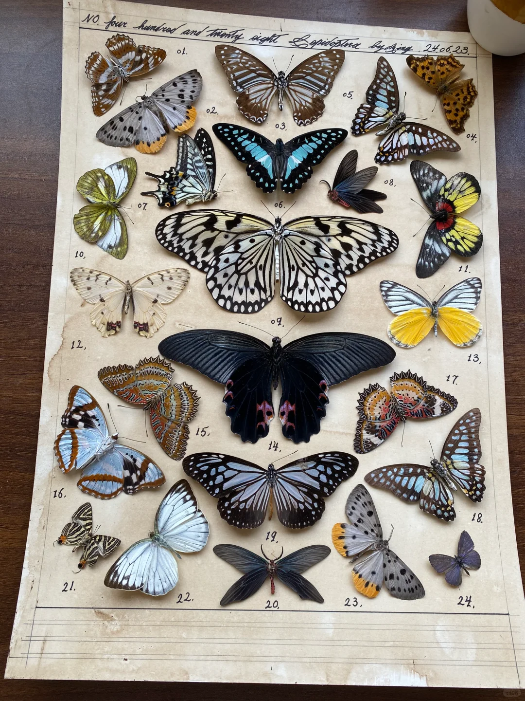 是谁一大早醒来就工作了呀 我我我