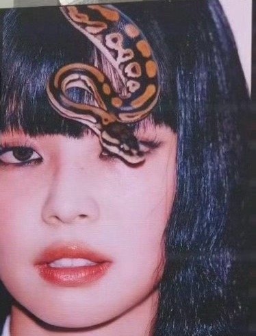 蛇 