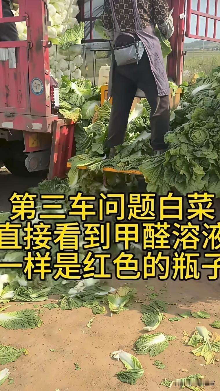 白菜农户冤？冤个屁。
你家白菜根蘸没蘸药水，你在地里站着，看不见？闻不到？别跟我