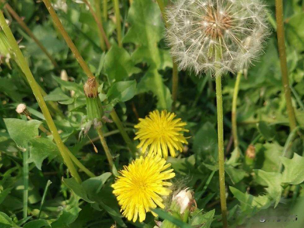 一位婆婆，用她十几年的经历总结了一句话：
婆婆对儿媳妇再好也没有用，即使你把她当