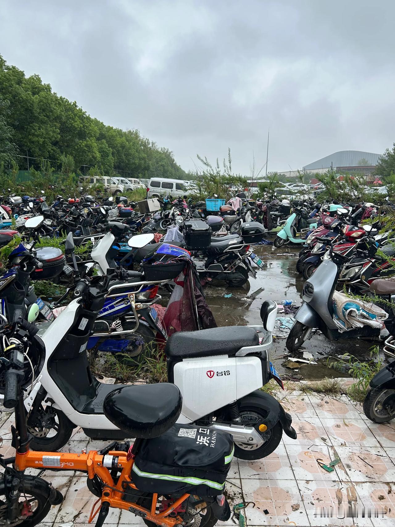 今天去交警队拿被扣的电瓶车，一眼望去，找不到自己的车了[捂脸] #上海身边事#