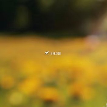 每日一善 每日一善 阳光信用 学会不为过程的缓慢而焦虑，即使暂时未能如你所愿，但