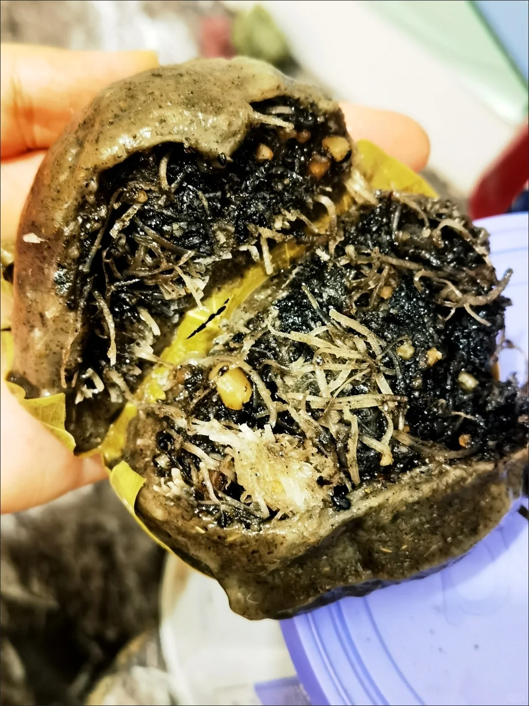 食品生0添加减脂特产分享(146/100)㊙️