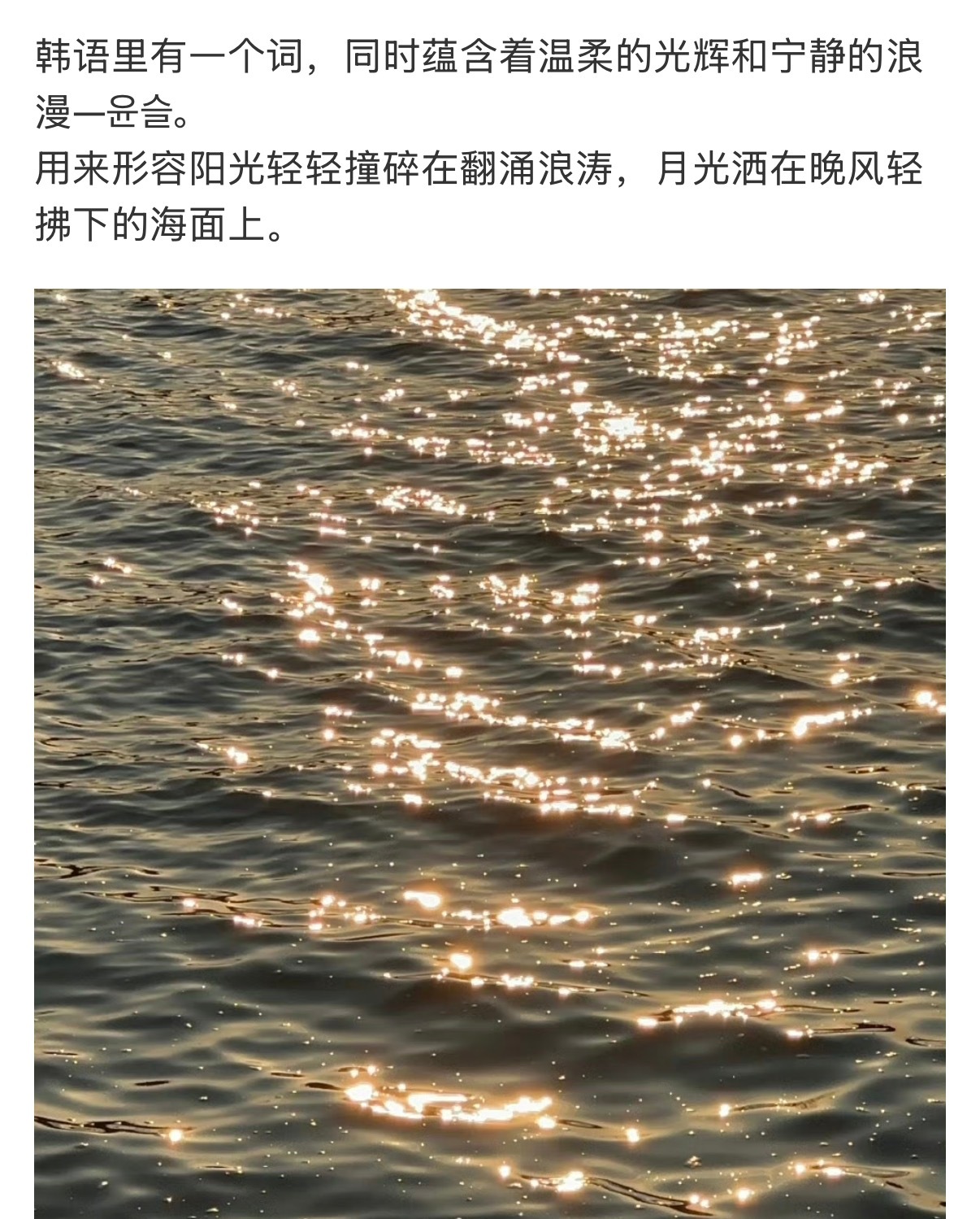 智英和윤슬宝宝