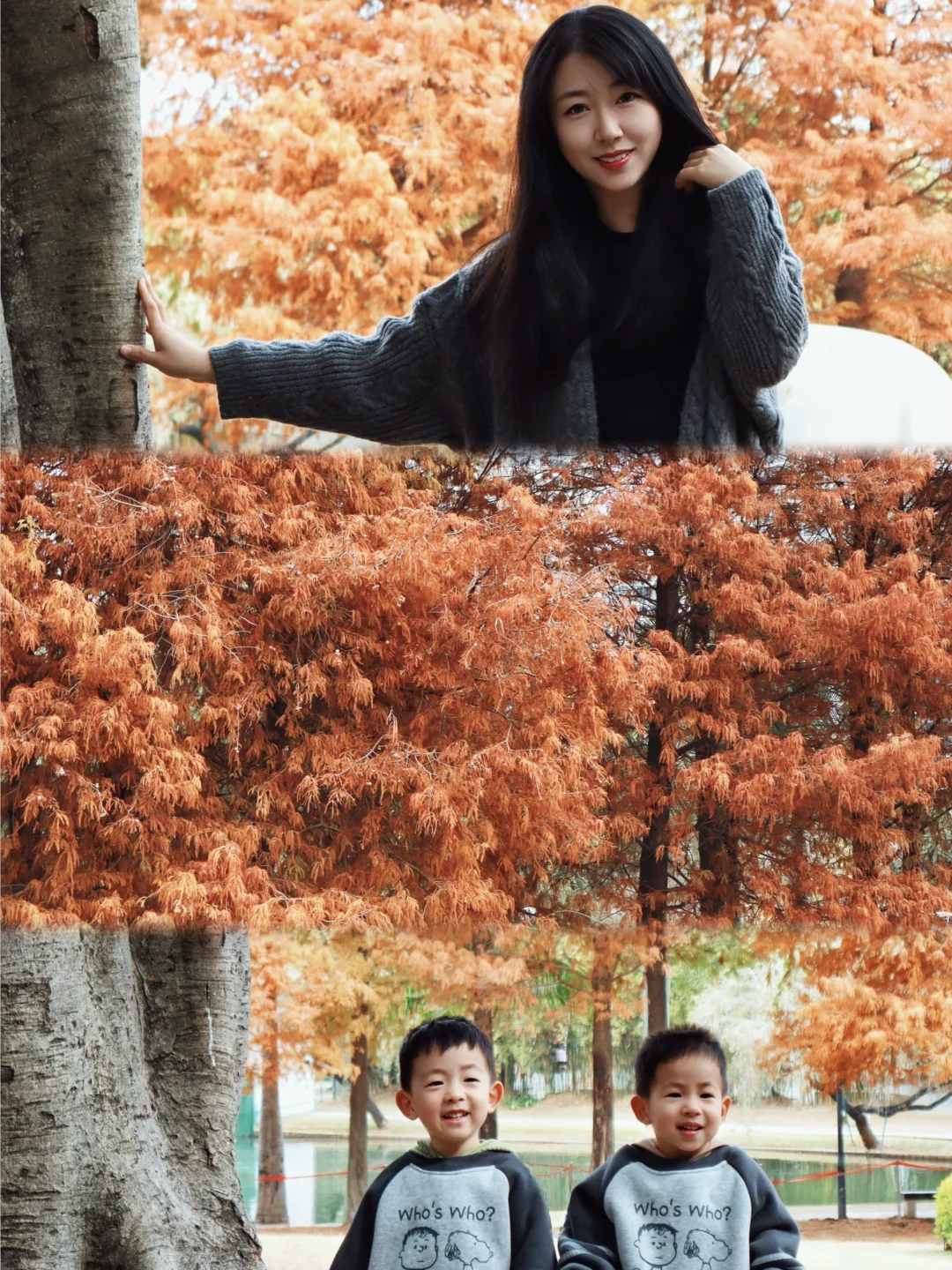 今天的心情是橘红色的⸝⸝⸝🤎🍂