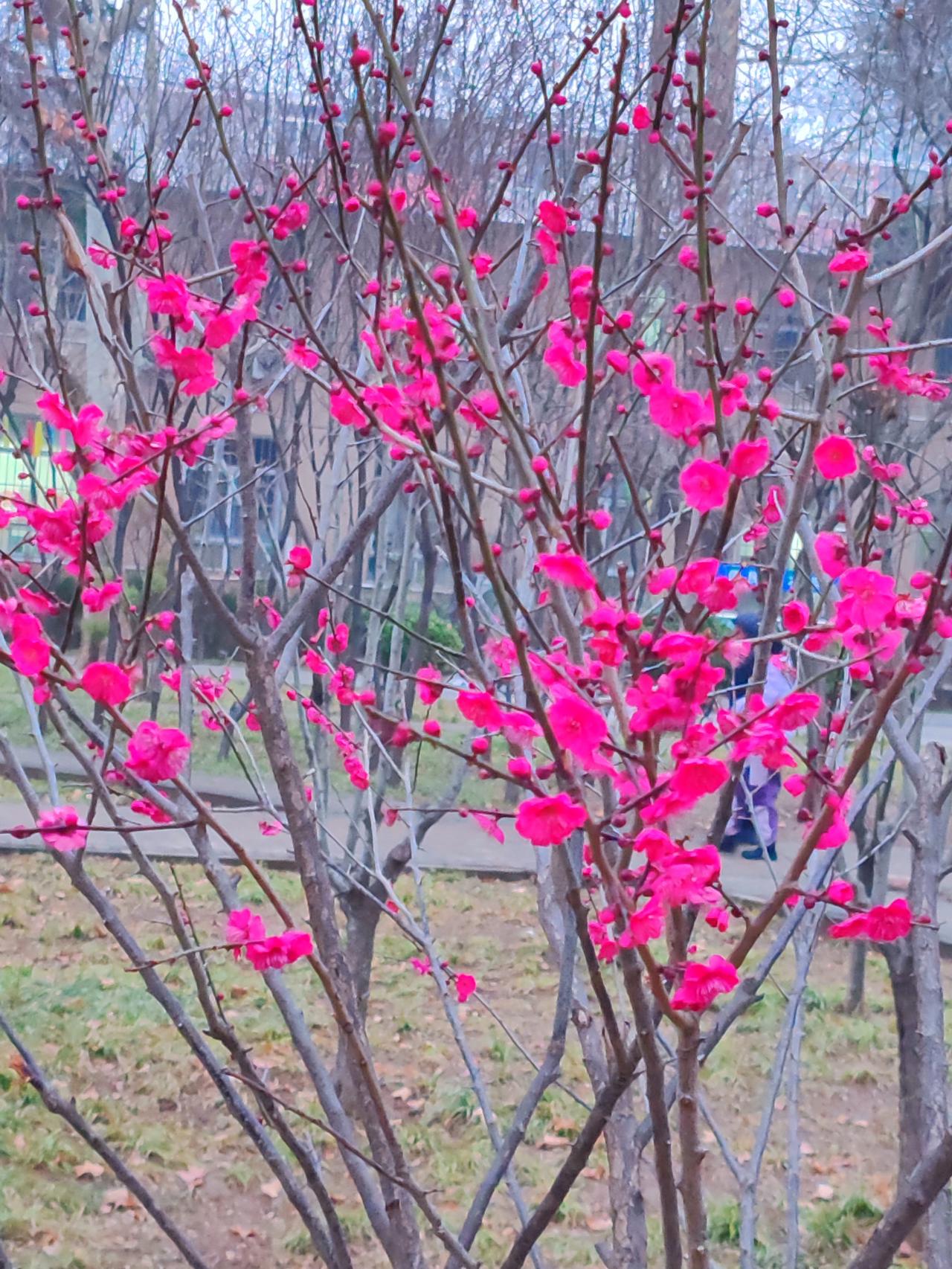 旧黄金亦是金，老物件代代相传，这可是咱中国的传统。别再纠结啦，傻闺女，赶紧收下，