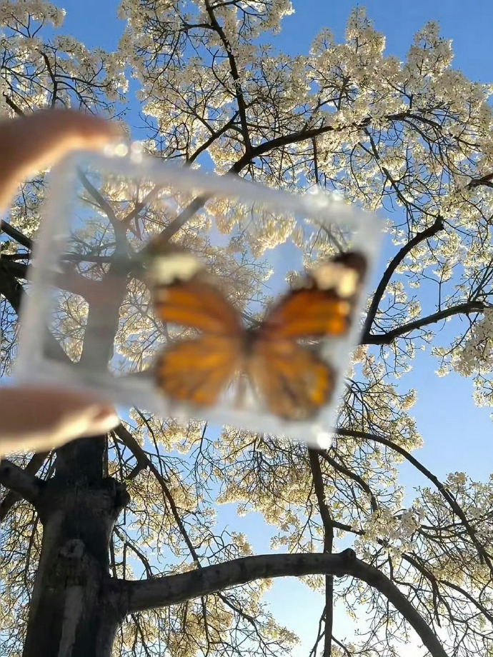 没什么好讲的，对了就庆祝，错了就进步，不是得到就是学到。 