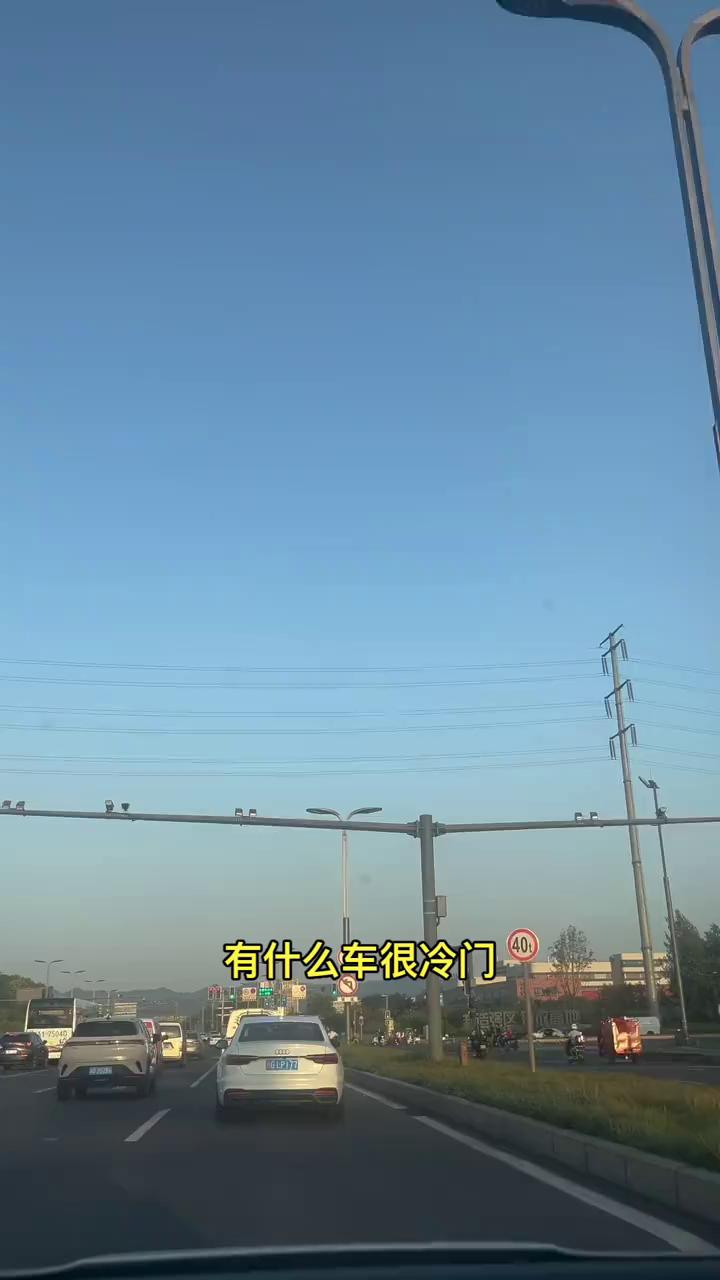 有什么车很冷门，但是绝对是一台好车。你第一个想到的是什么车？就是大街上不常见，但