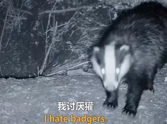 忘了什么原因克拉克森农场没看完了，但现在学习语言艺术还来得及，不是娱乐节目啊是我