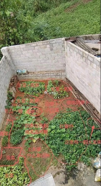 不做对比，永远不知道差距有多大 