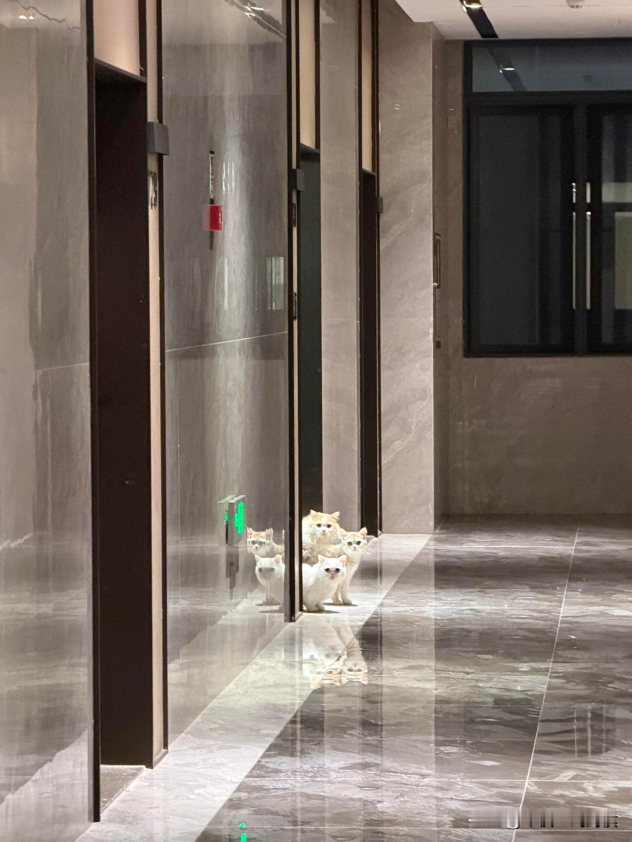 春节前后，我小叔家的两户邻居各自生了一个孩子，一家是男孩，一家是女孩，都是第二胎