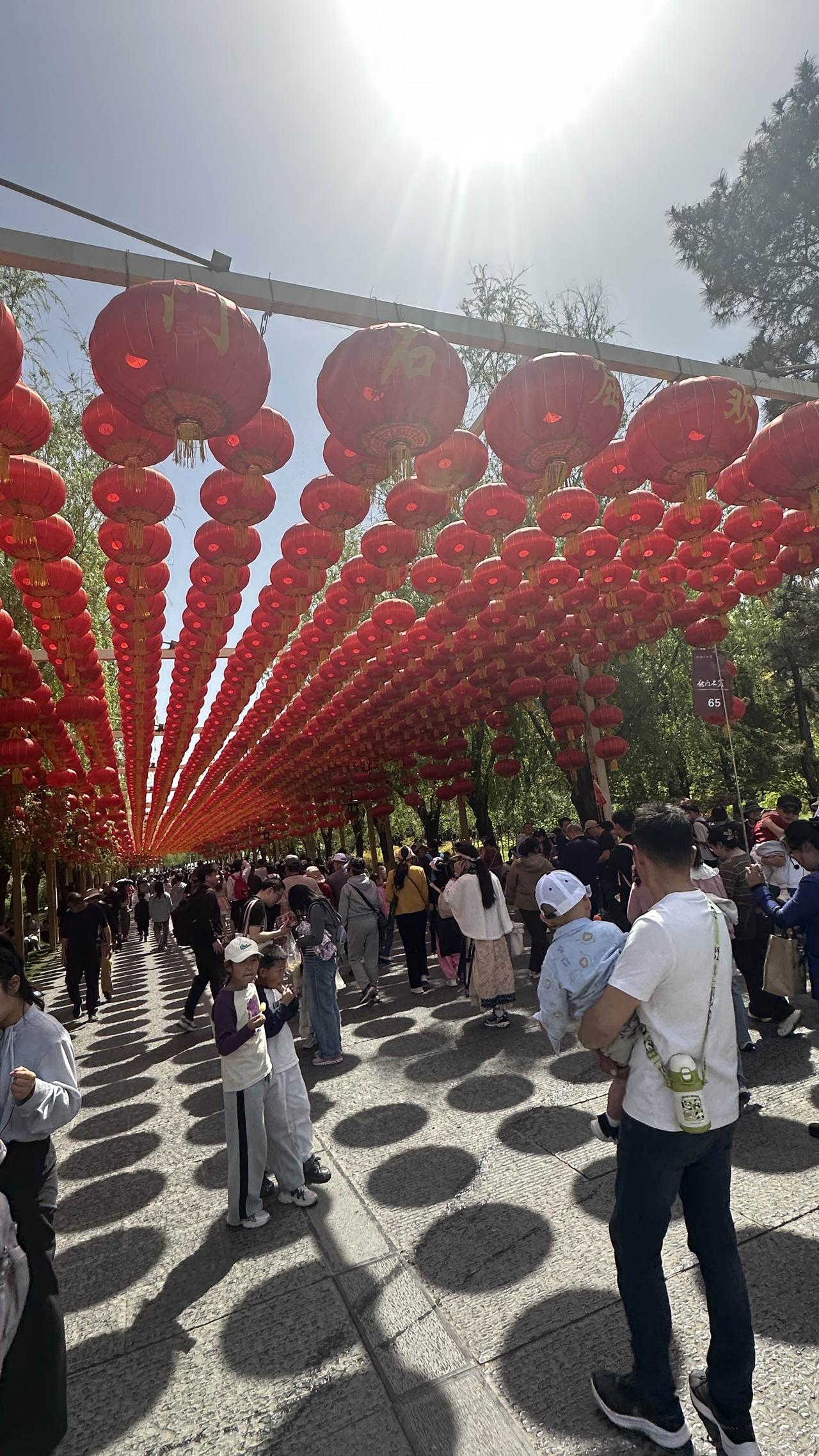 龙门石窟，传递千年的美～

龙门卢舍那大佛

伊水穿阙碧峰长，
千年神匠凿盛唐。