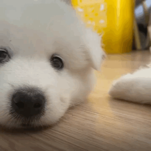 是不是挺惆怅，挺失意的，每年奖讨论的如火如荼的时候都没份，热度讨论度为0票房扑街