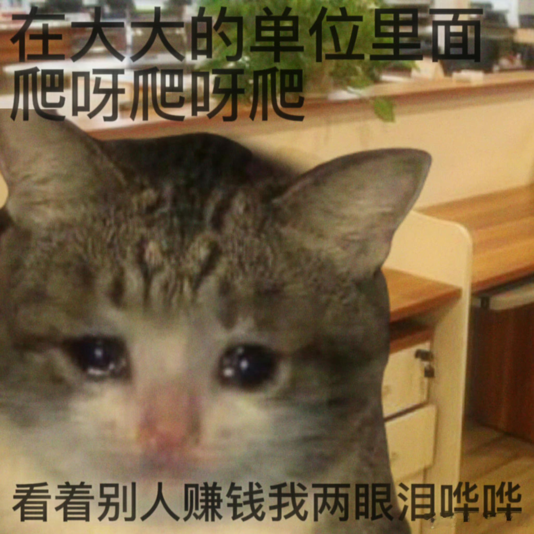 咪下班每天真是见缝插针咧咧