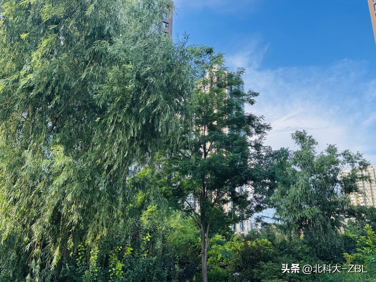 今日计划合户，全力申购永励精密

北交所打新，确实挺折腾人的，一会分户，一会又合