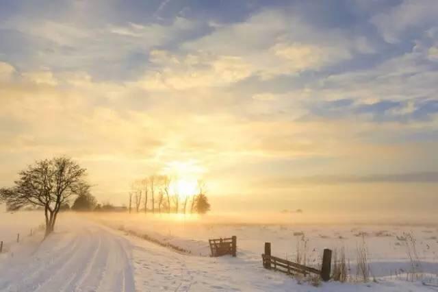 【❄️中国最北秘境 | 漠河冬季梦幻旅行指南，-40℃的浪漫！✨】
📍地点：黑