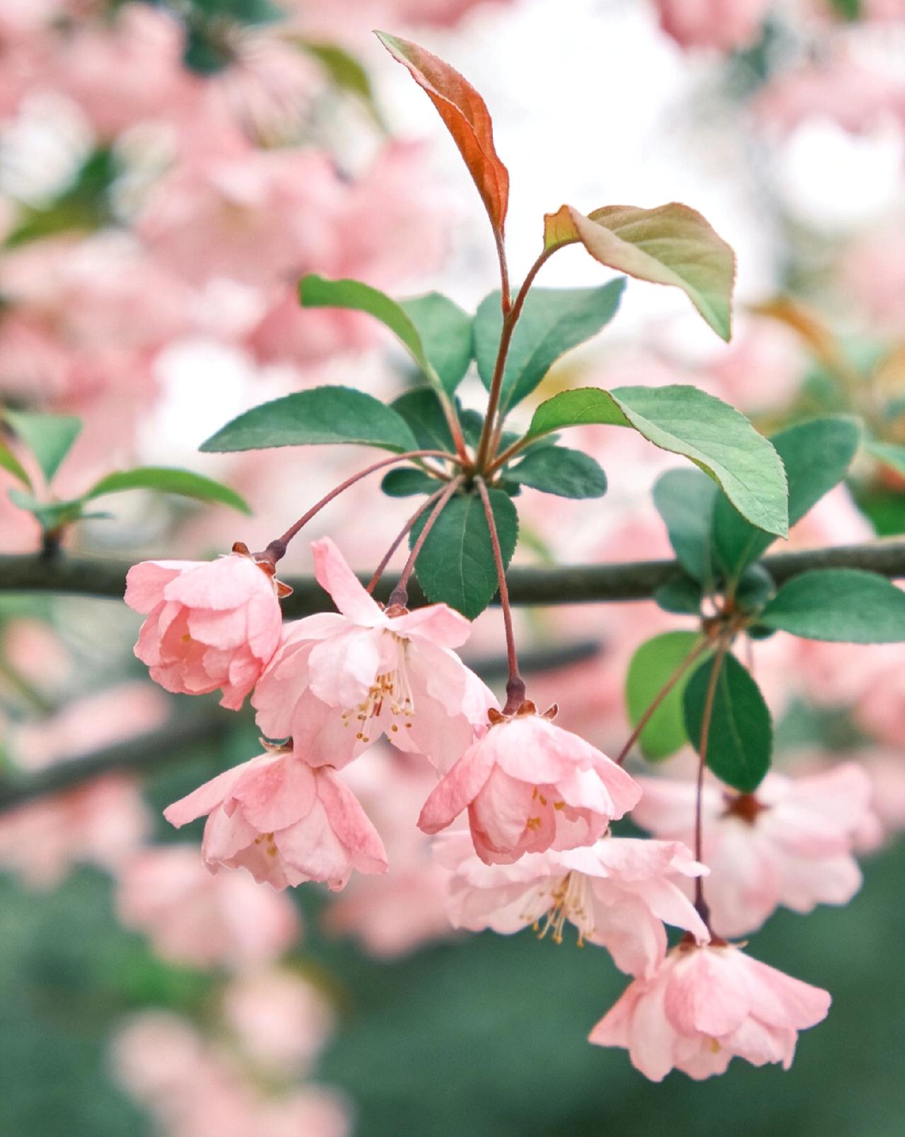 高三家长必看！孩子焦虑情绪怎么缓解，这样做最管用
 
高三孩子压力大、情绪焦虑，