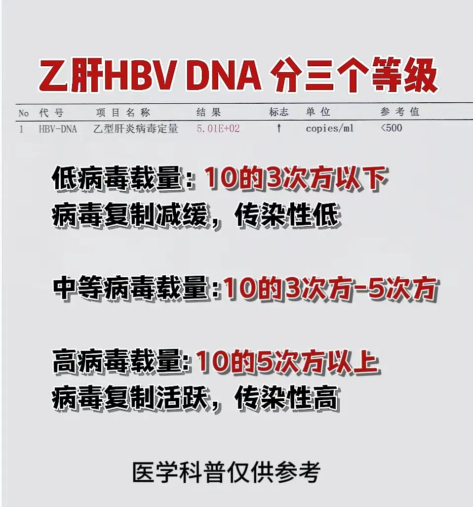 乙肝 医学科普 山东 肝病