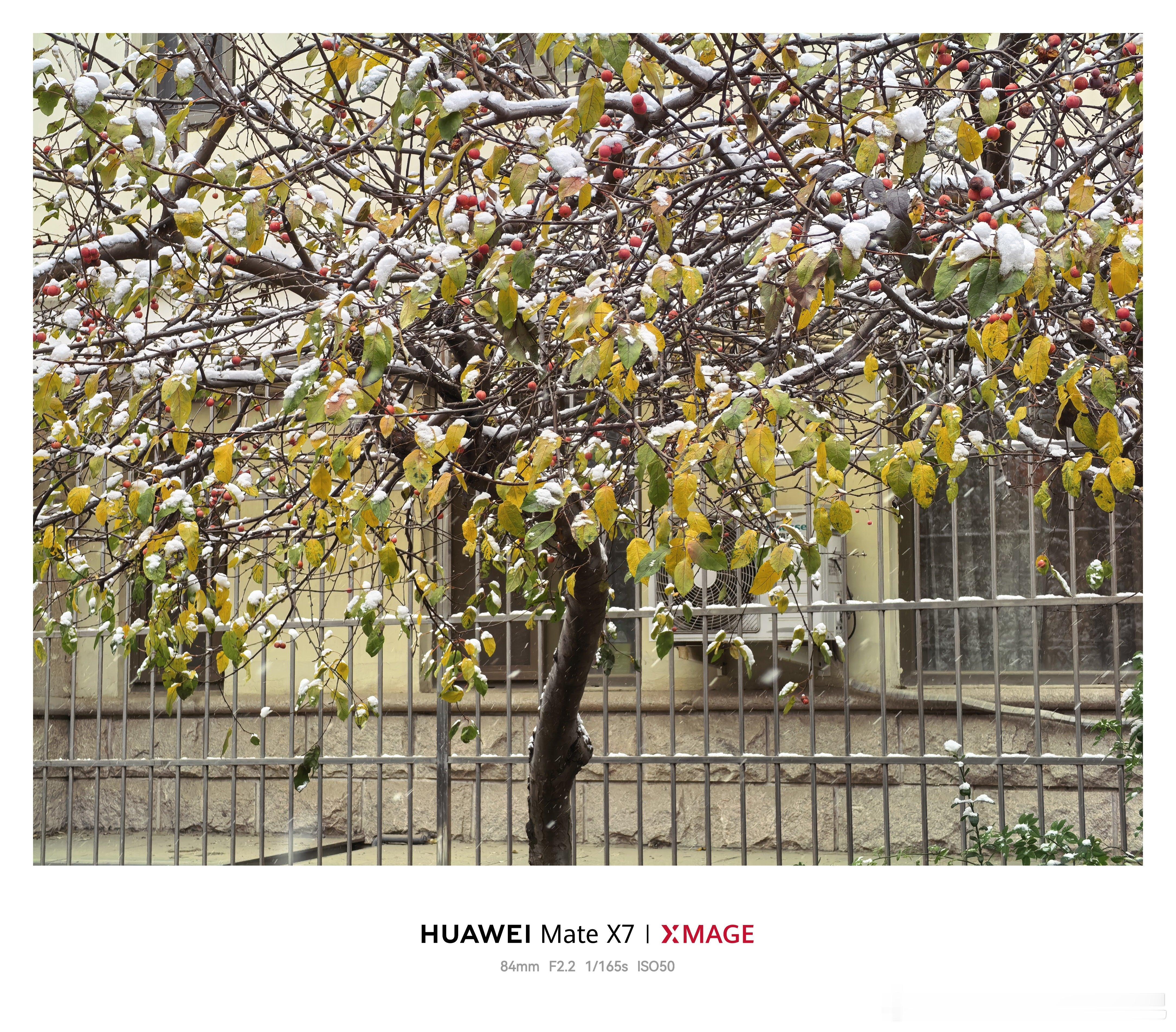 正式的第一场雪可靠的mate华为matex7