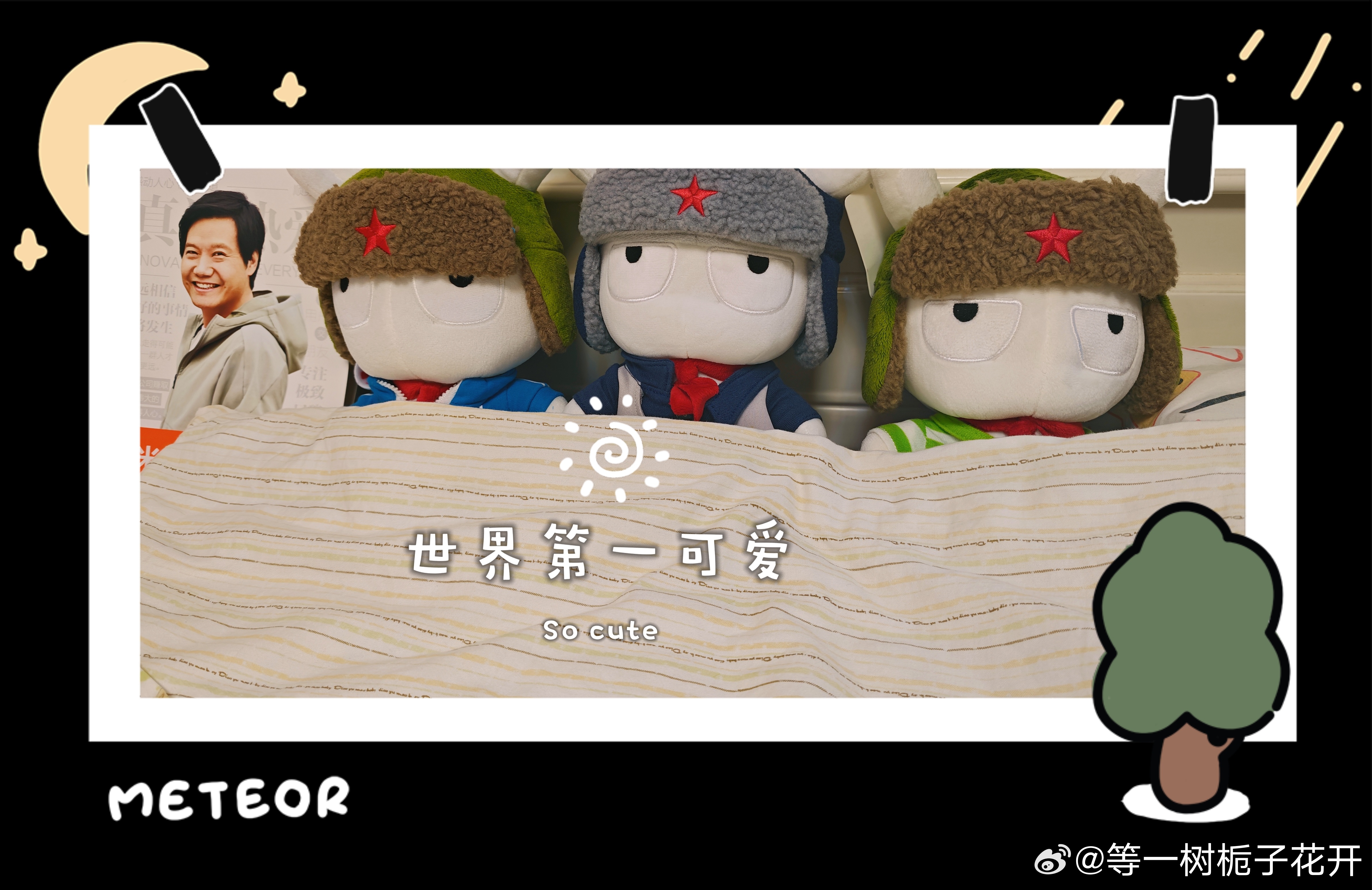 雷军[超话] 早睡早起身体棒棒，安[心][心][心] ​​​