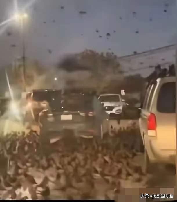 3月25日傍晚，以色列首都特拉维夫的街头聚集了大群的乌鸦。在以色列人的认知里，乌