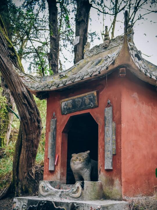 徒步撸猫🐱｜探幽中国奇谭猫猫庙的原型