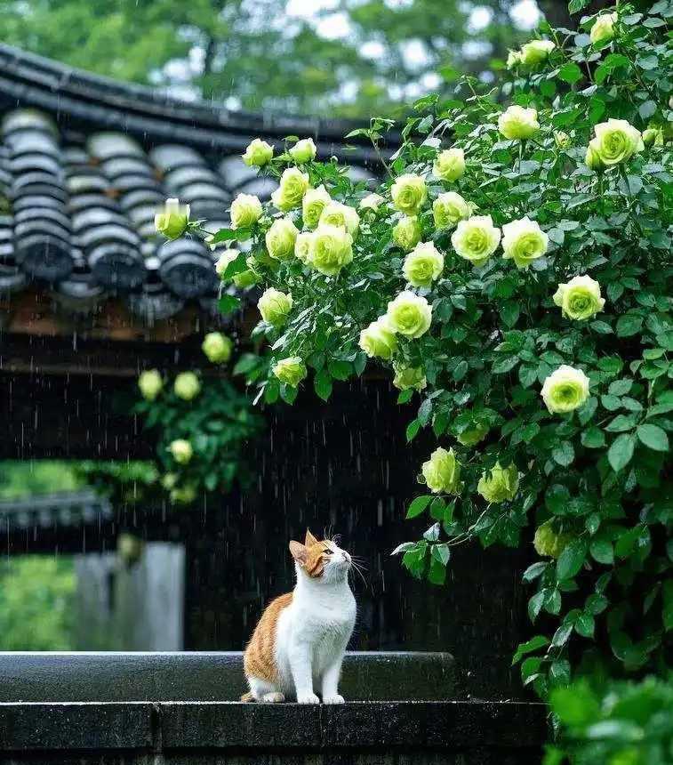 笔下刀光剑影，诚邀下联
上联：笔下刀光剑影，
[作揖]
下联：胸中柳暗花明。
[