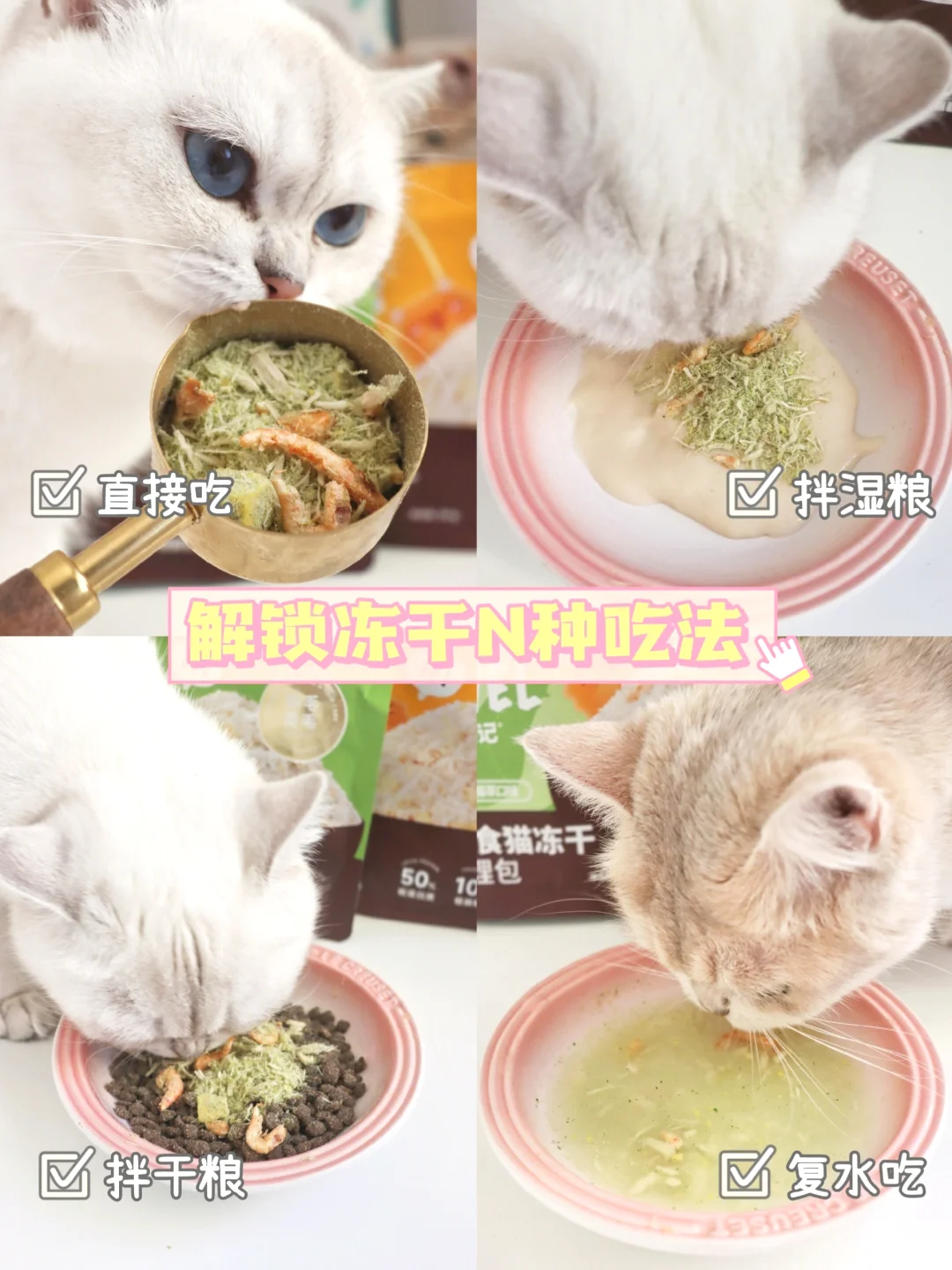 季养猫必修课！家有爱舔毛的小猫别错过！