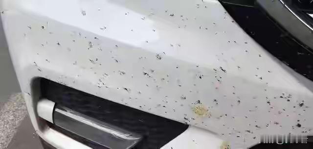 跑完高速别着急洗车！刹车盘三百多度，冷水一冲直接变形，我见过新车轮毂当场裂开的。