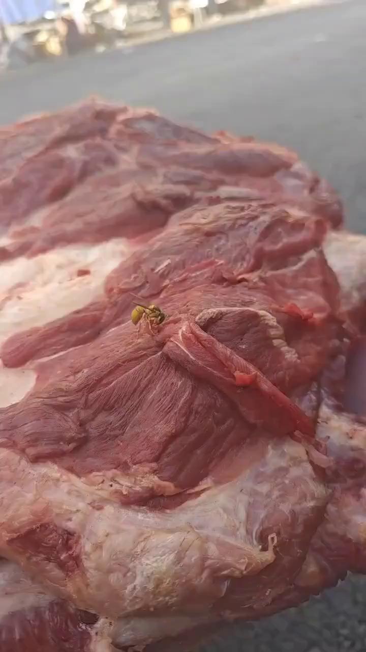 这波操作都看傻了。