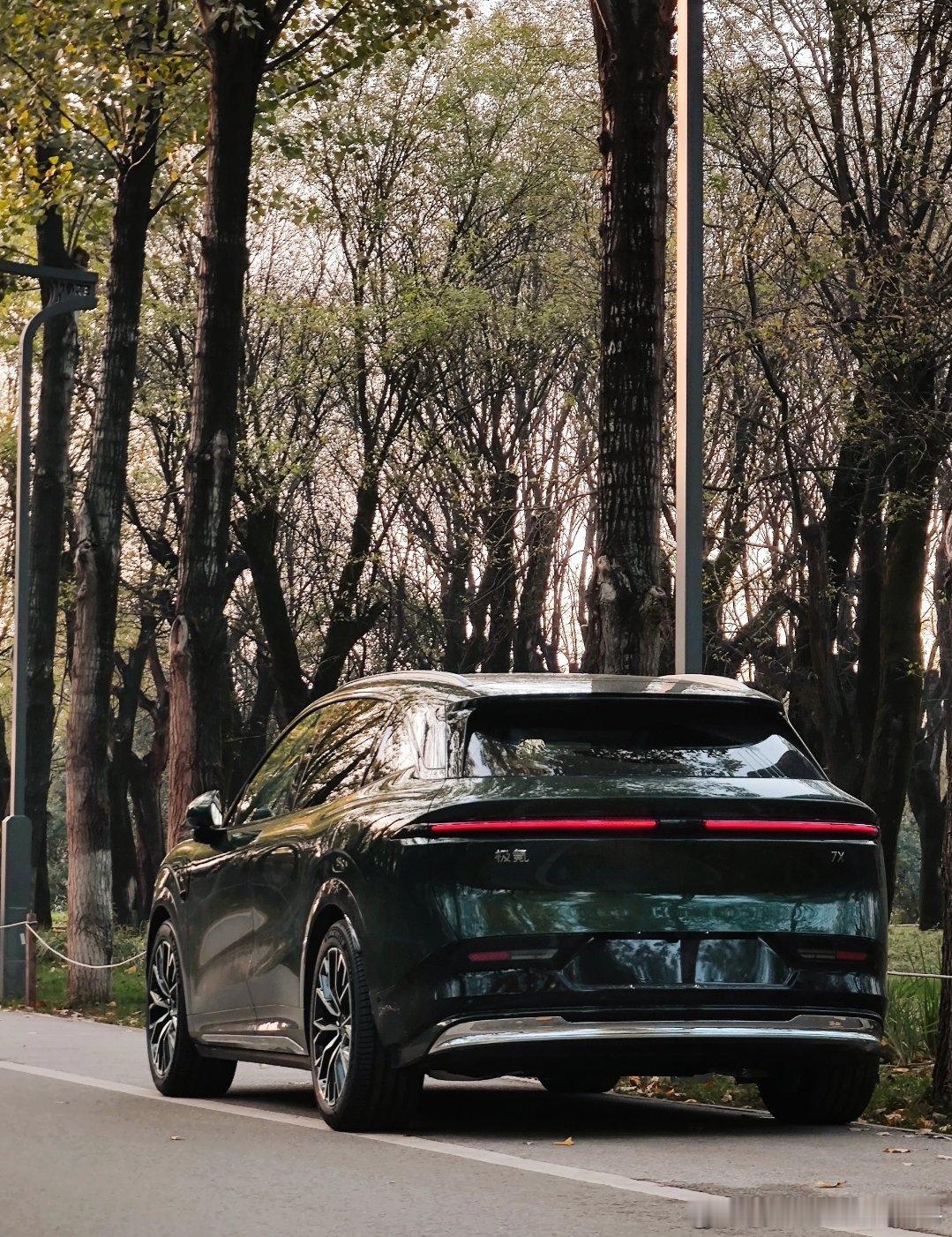 安全始终是汽车选择中不可妥协的要素，而极氪全系标配的智能配置和扎实底盘，给了我十