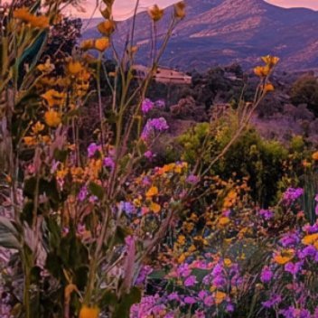 每日一善  每日一善   阳光信用 用心甘情愿的态度，过随遇而安的生活。遗憾，随