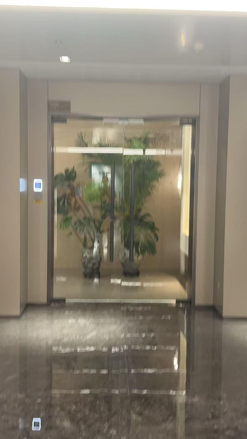 家门口正中间种一棵树，这个格局在风水上非常不妙。你站在门内往外看，一棵树直直地挡