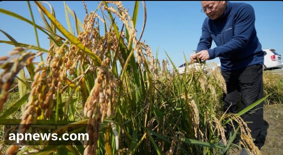 五名农民正在起诉韩国电力公社及其发电子公司，指控后者依赖煤炭等化石燃料加剧了气候