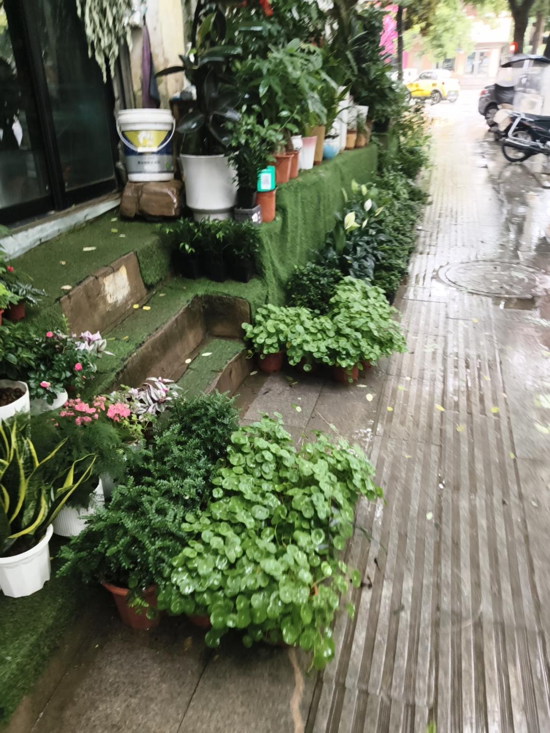 真心话茶局真奇怪，豆包竟然能查出很多人和事，也不知道真假，上学时的很多老师都查出