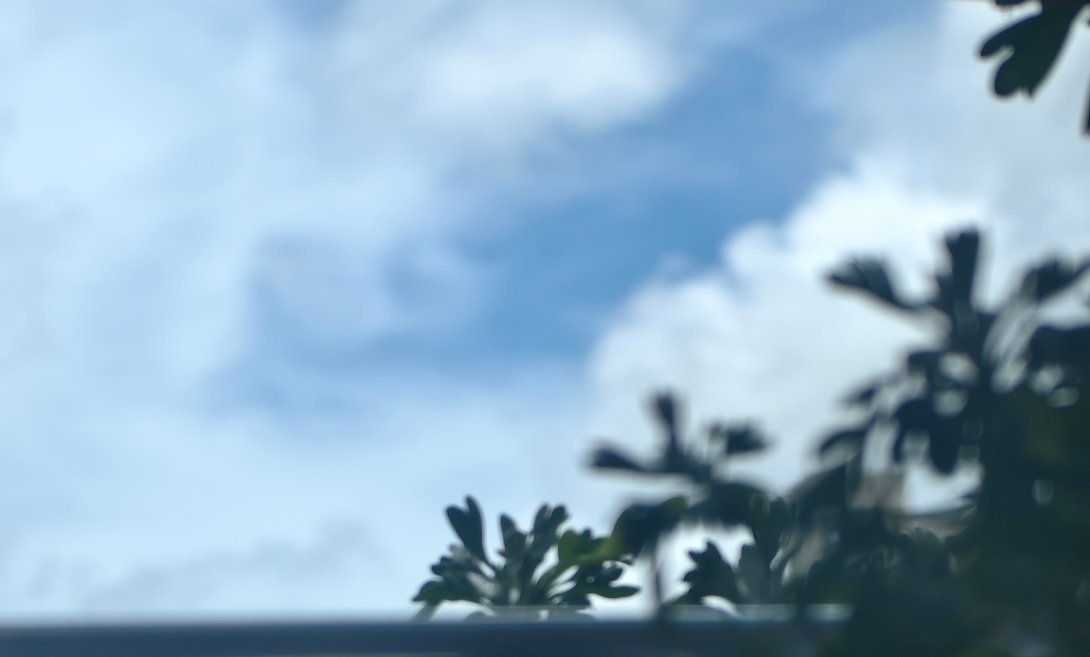 花草树木丛生，晴空万里。 