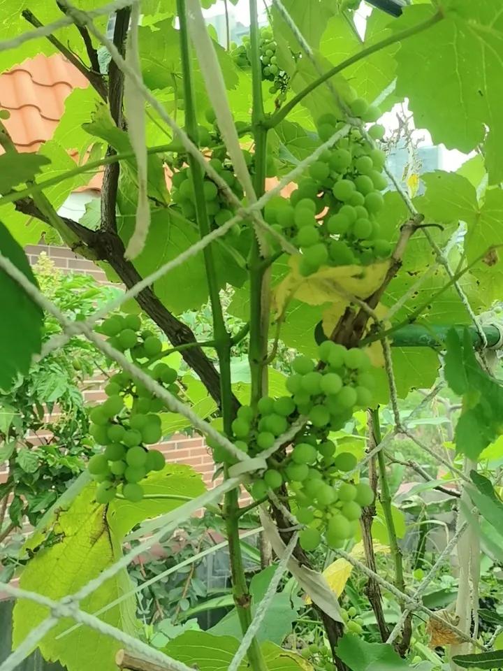 我清仓了，大家随意！5月再见！