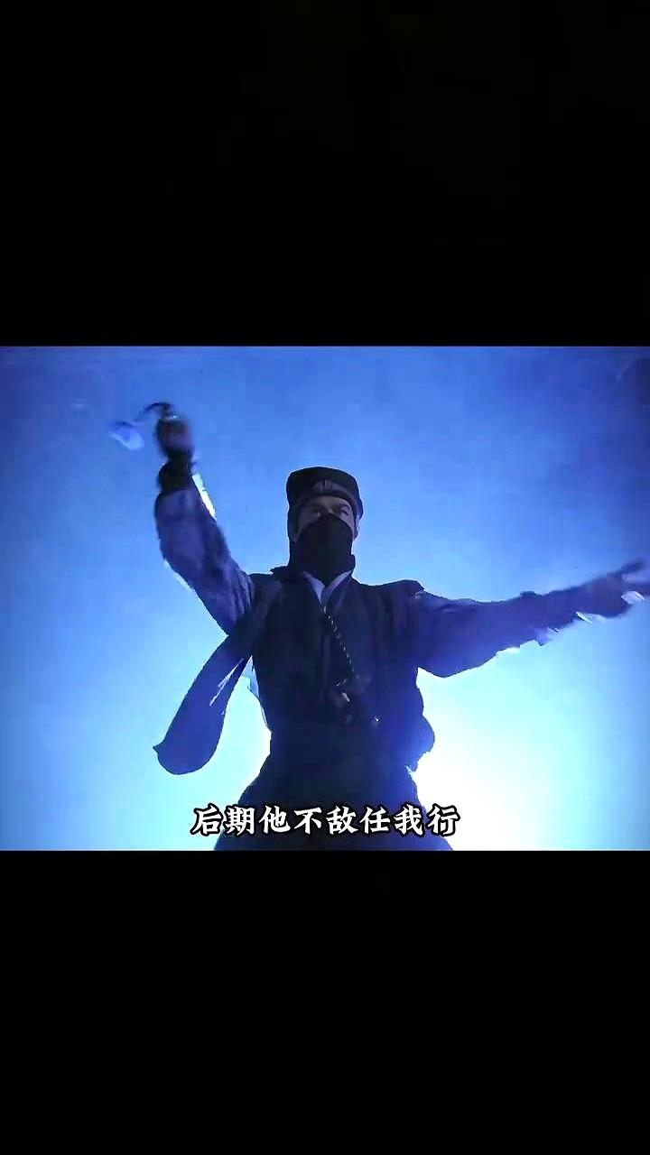 整部影片最大的遗憾，就是服部千军到死，都没能和元飞、日月打一场。

李子雄演的这