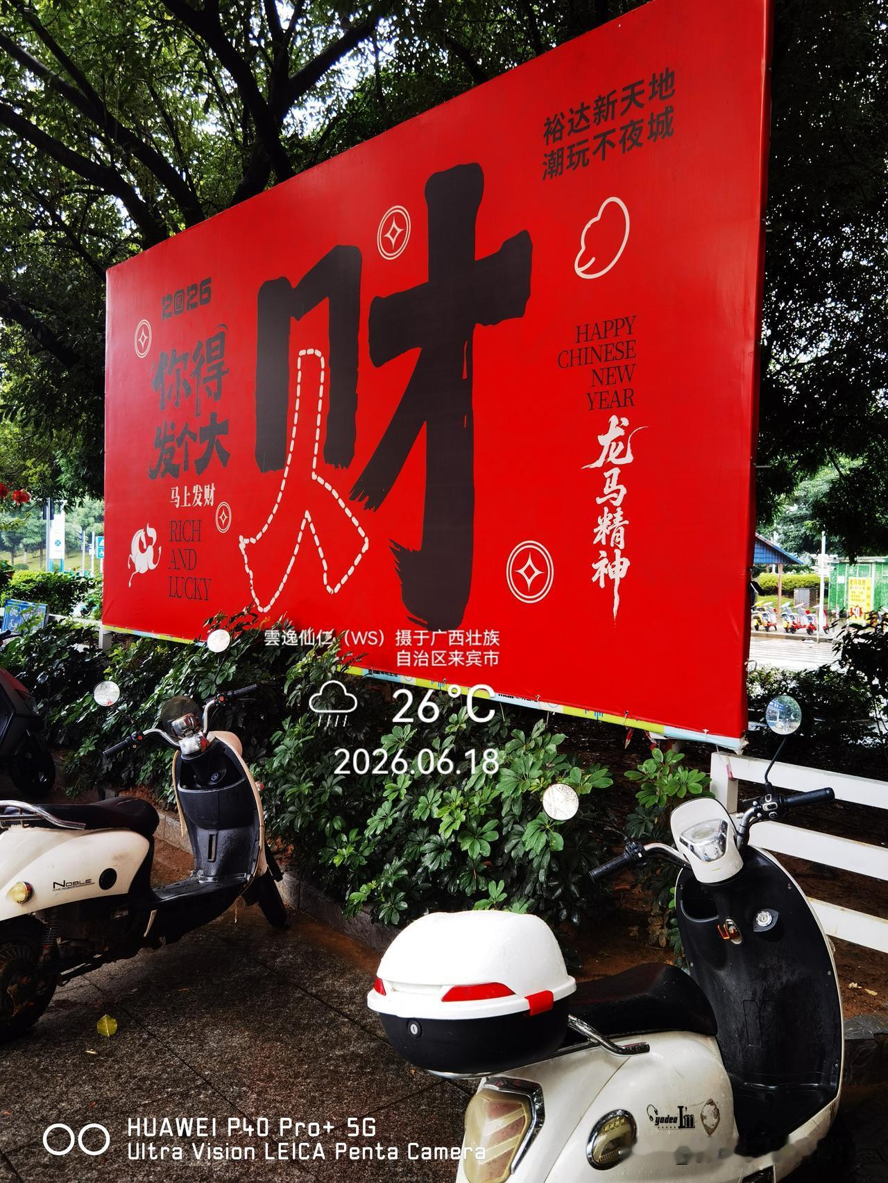 月居生活记录（9907）广西壮族自治区来宾市（132）：龙马精神、黑帽黑鼻子、破