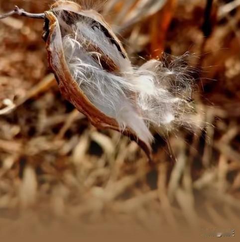 趣味祝福脑筋急转弯，藏着生活小智慧
 
一组满是巧思的祝福类脑筋急转弯，既有趣味