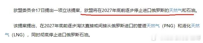 欧盟将在2027年底前逐步停止进口俄罗斯的天然气和石油 ​​​