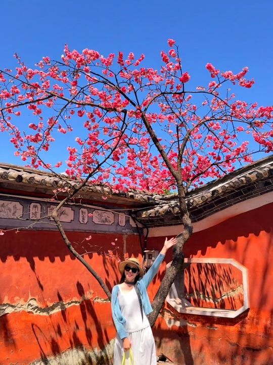 大理｜我的生命是一万次春和景明