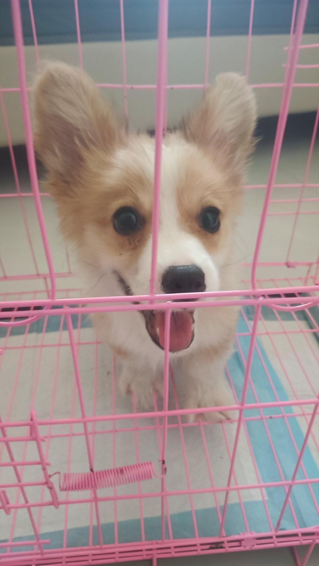 分享图片 
