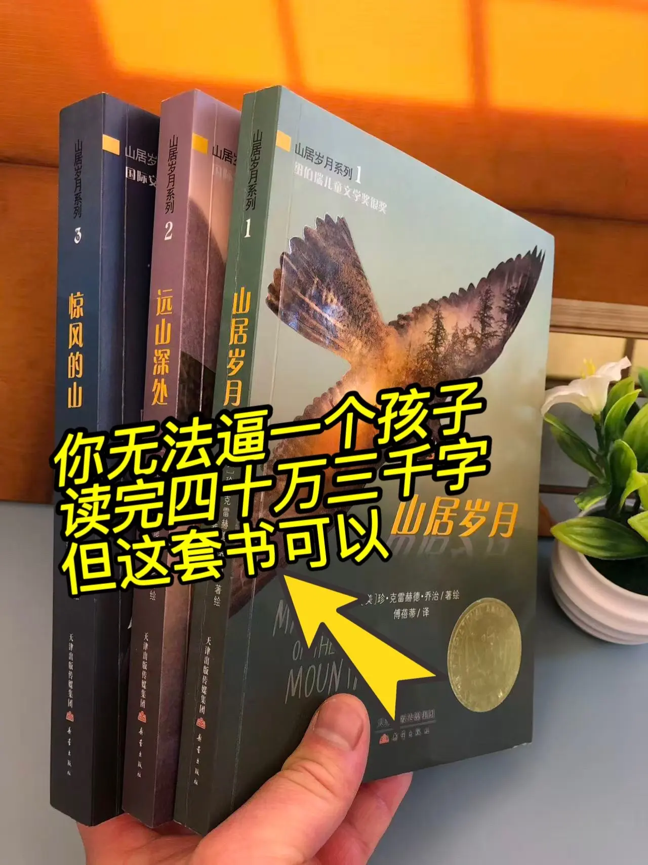 国际大奖，我愿称之为小学生认知力的天花板。这套书讲述的不仅是一个少年从...